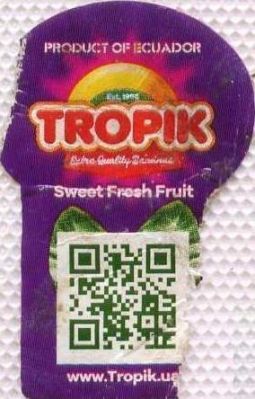 Klik for fuld størrelse