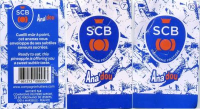 Klik for fuld størrelse