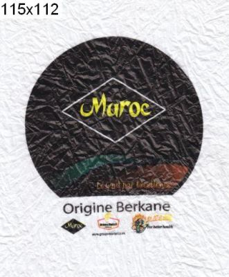 Klik for fuld størrelse