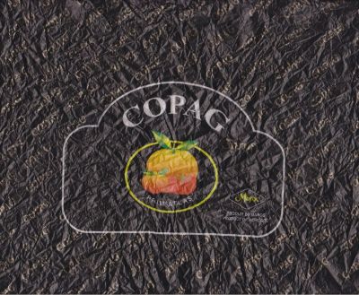 Klik for fuld størrelse