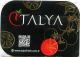 Tomato_7.jpg